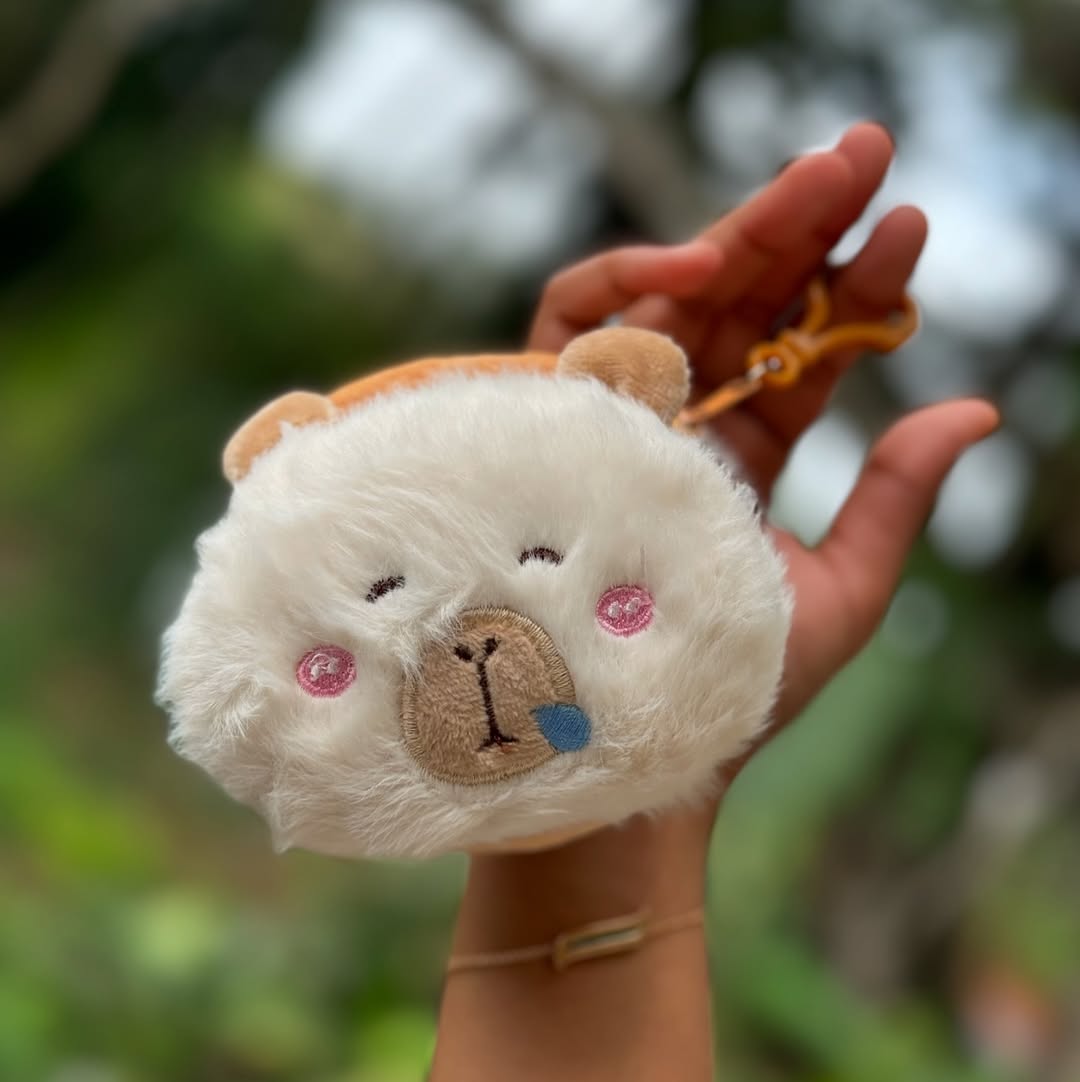 💗✨ fluffymoods – ₹169[🍦 snoozyboo – vanilla latte]pocket sized joy, zipped with fluff and fun!